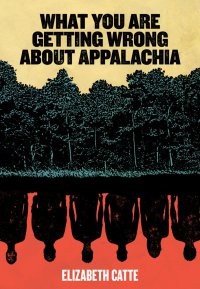 What You Are Getting Wrong About Appalachia book cover.