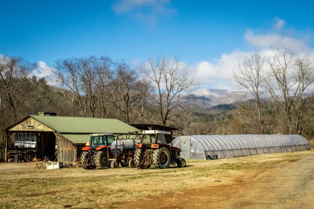 SMM Farm was founded by Salvador Moreno Sr. in 2004 in Western North Carolina. Over the years, it has grown into a commercial operation, providing fruits and vegetables to a single broker. Photo: Adam Dahlstrom/100 Days in Appalachia 